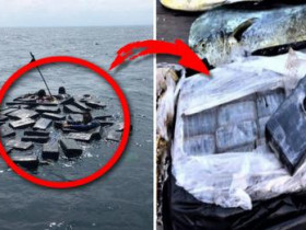 낚시 중이던 두 남성이 바다 한가운데에서 발견한 11억원이나 하는 물건의 정체